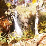 Hotel Landgasthaus Kurz & Restaurant Am Feldberg - Schwarzwald 3*