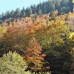Landgasthaus Kurz & Restaurant Am Feldberg - Schwarzwald 3* Todtnau