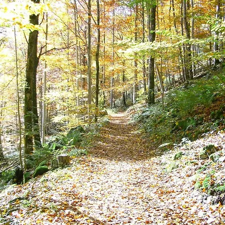 Landgasthaus Kurz & Restaurant Am Feldberg - Schwarzwald