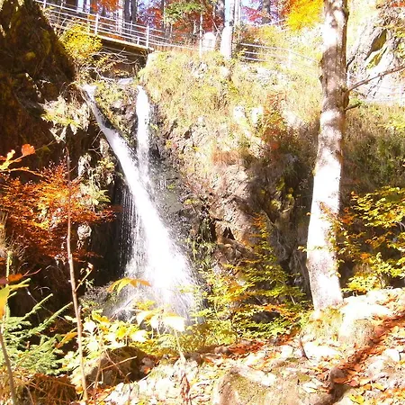 Hotel Landgasthaus Kurz & Restaurant Am Feldberg - Schwarzwald 3*