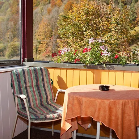 Landgasthaus Kurz & Restaurant Am Feldberg - Schwarzwald מלון
