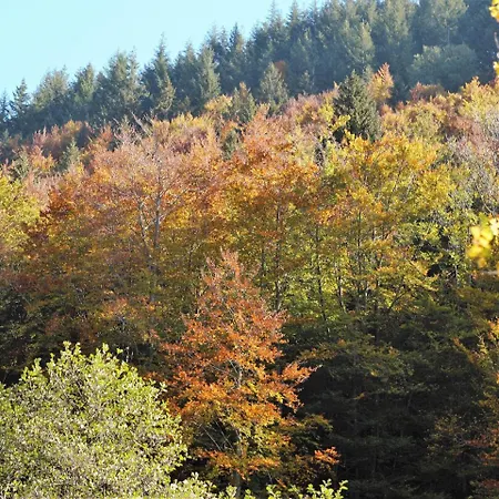 Landgasthaus Kurz & Restaurant Am Feldberg - Schwarzwald 3* Todtnau